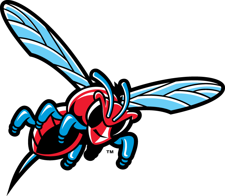 Delaware State Hornets 2004-Pres Misc Logo v2 iron on transfers for T-shirts